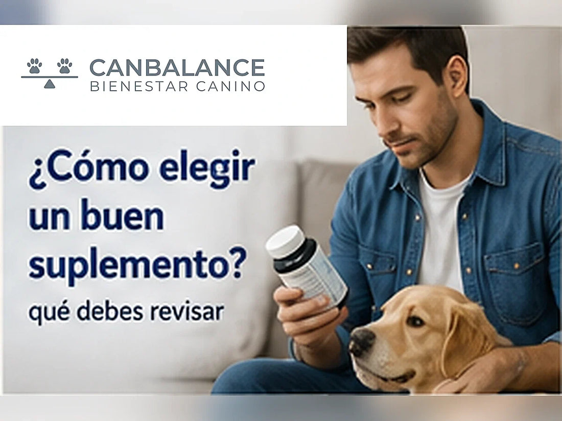 Tutor revisando un suplemento junto a su perro en portada sobre cómo evaluar suplementos caninos.