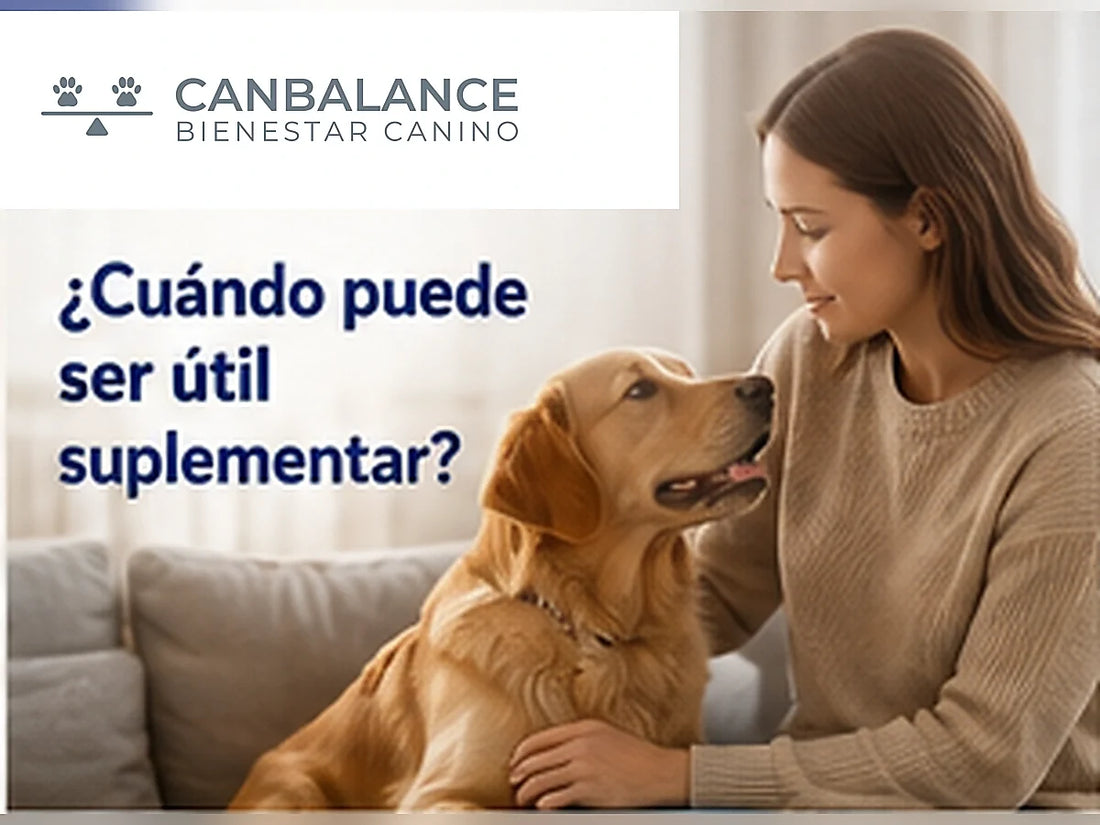 Tutor con su perro en portada sobre cuándo puede ser útil la suplementación canina.